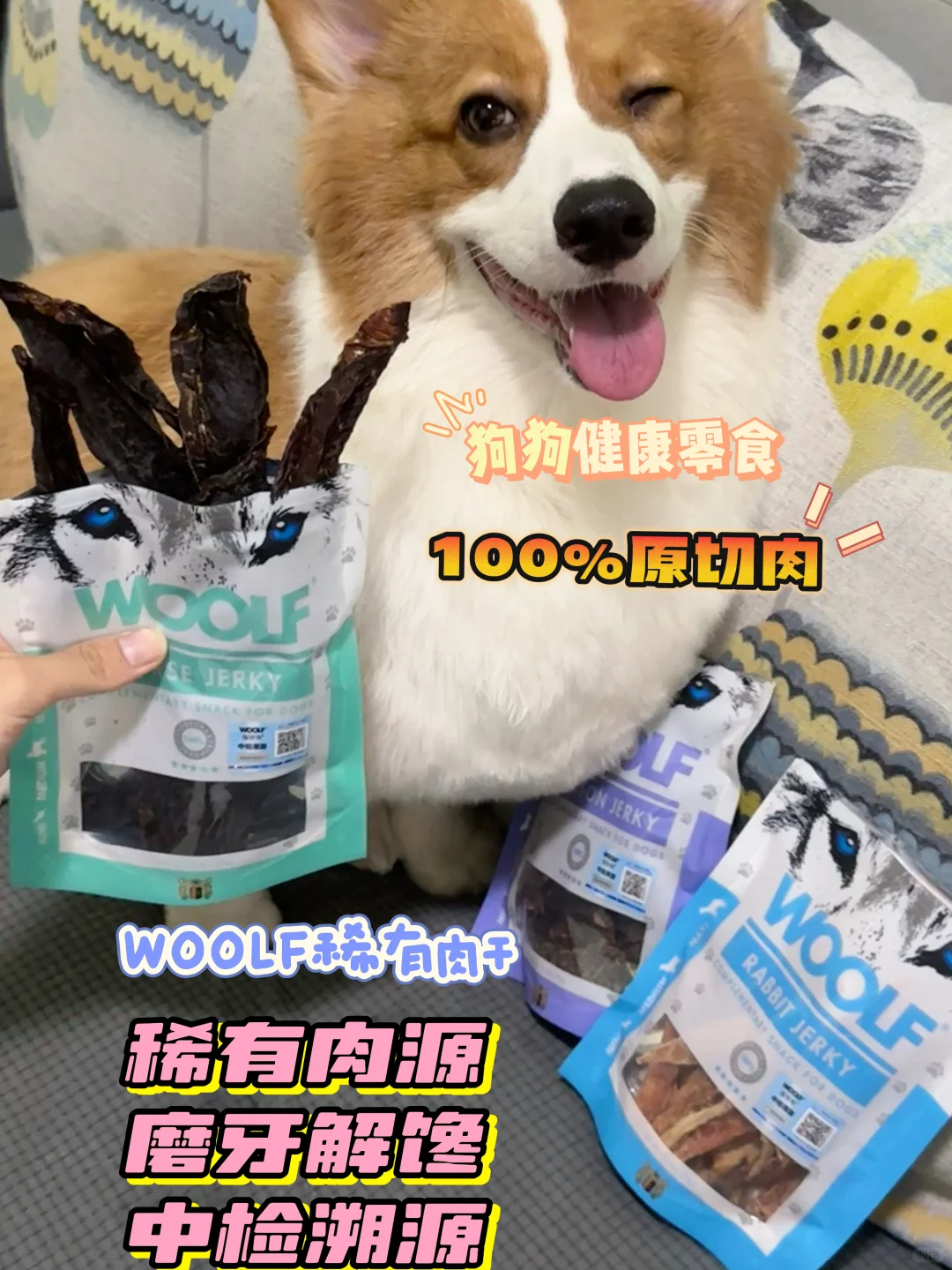 狗狗稀有肉干零食测评