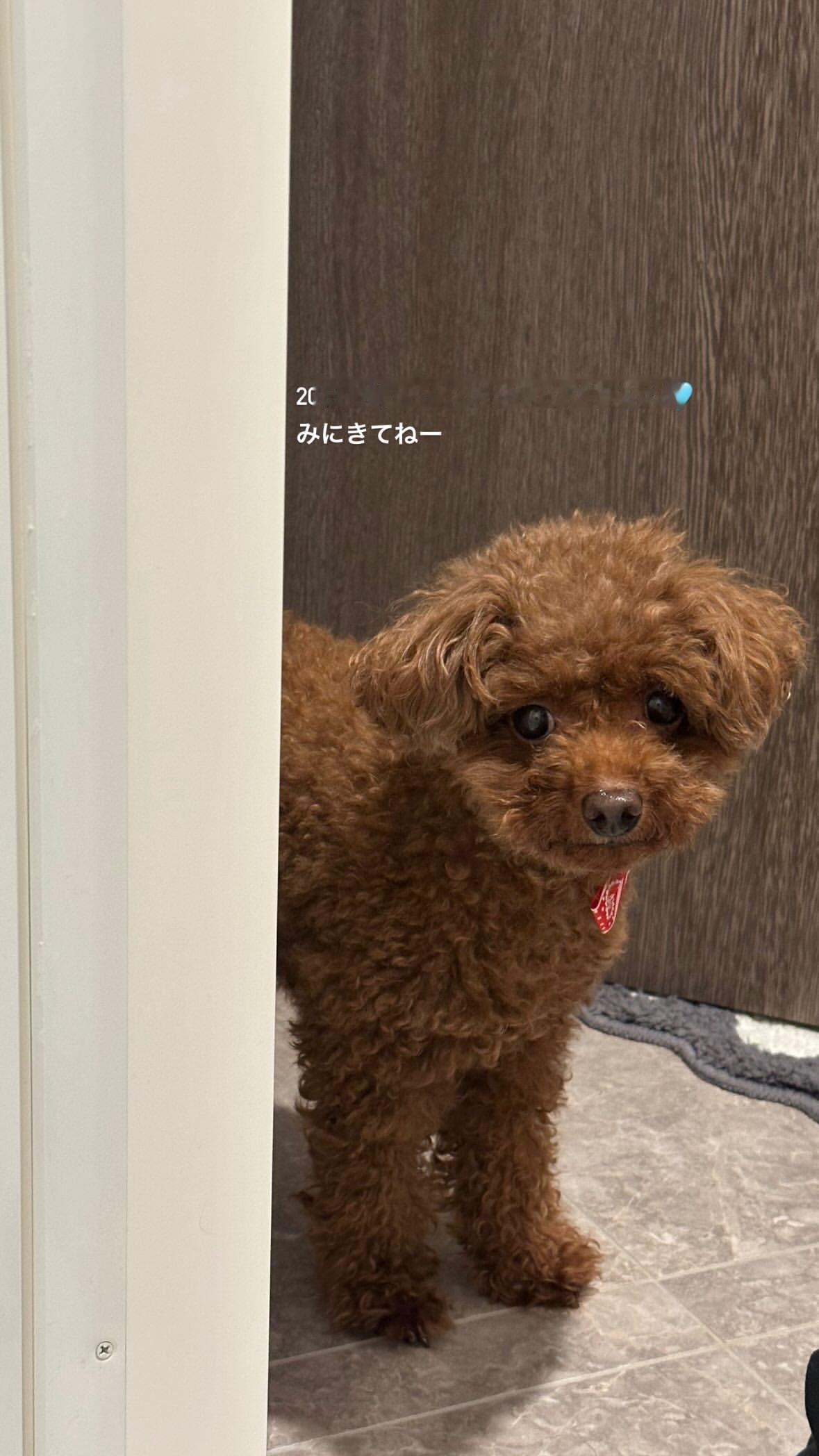 濱岸ひより🐤　hamahiyogram ​​​