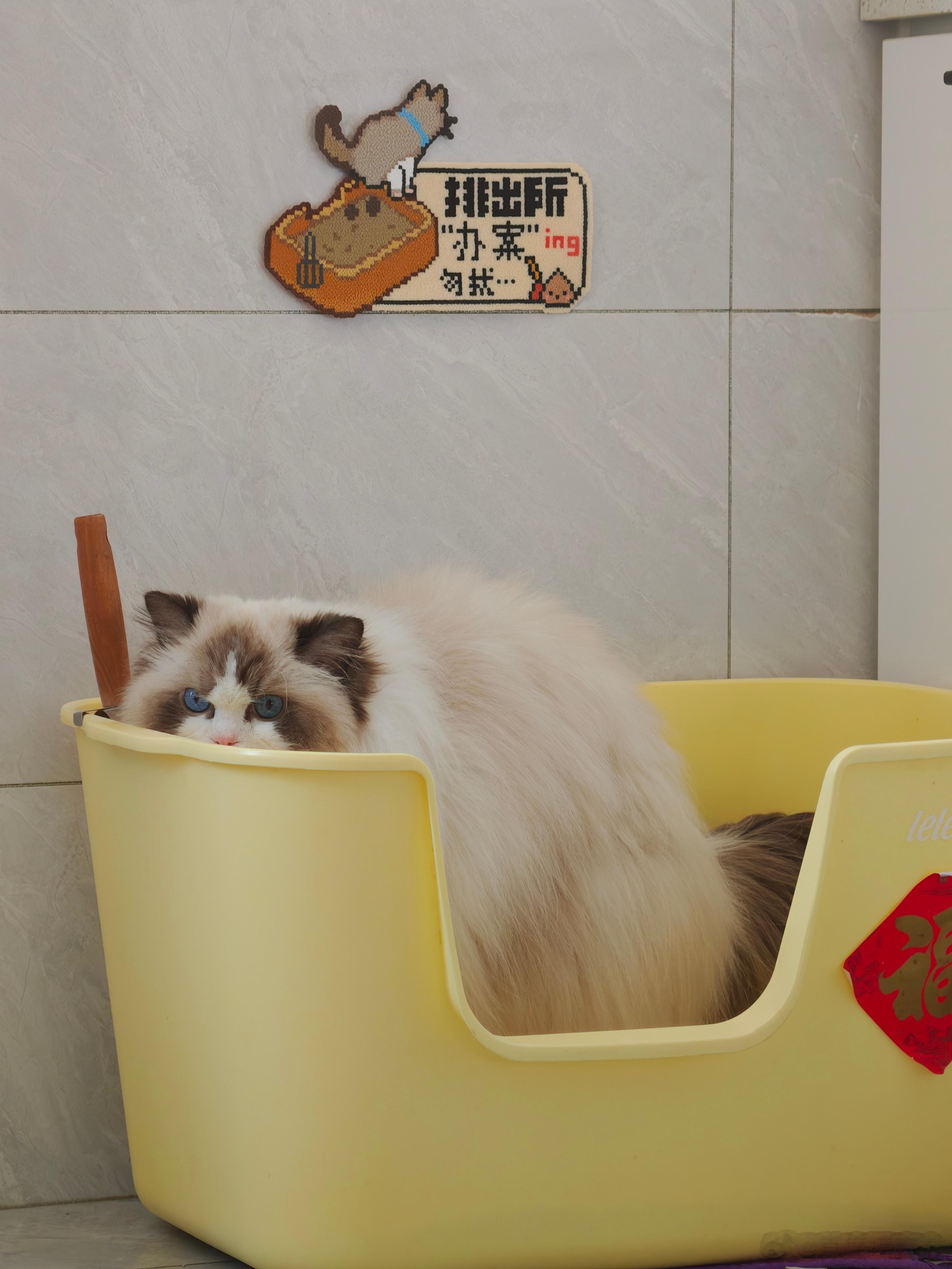 小糯警官办案中 ​​​