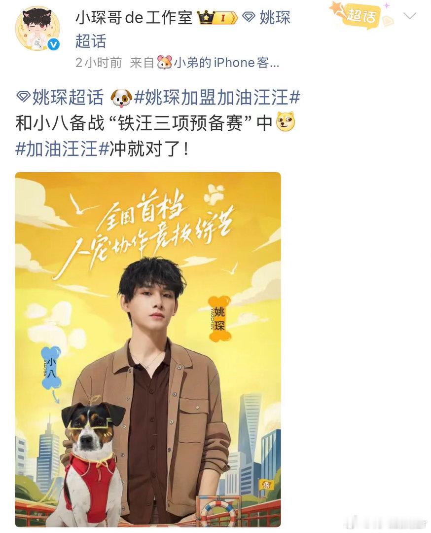 姚琛带小狗备战铁汪三项姚琛迎来了自己的小狗队友加油汪汪 姚琛配小狗，这组合简直就