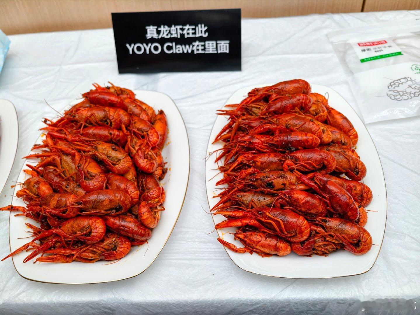 竟然有真龙虾🦞荣耀MagicBook系列 西安·西安荣耀终端有限公司(南区)