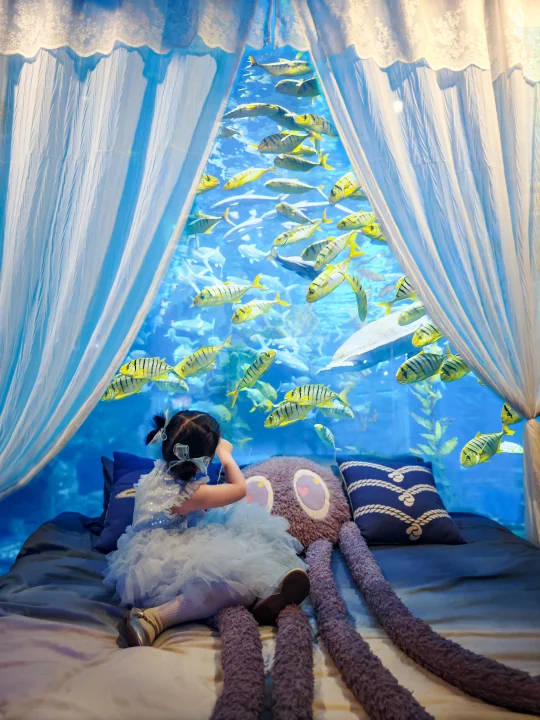 在南昌的遛娃神仙地~真的不要太浪漫哦