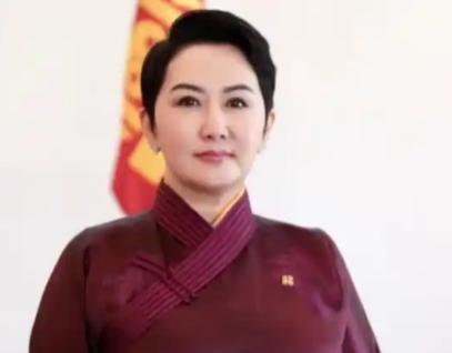 真不知道蒙古国是怎么想的，自己连海军都没有，居然支持菲律宾在南海的权益。
 
现