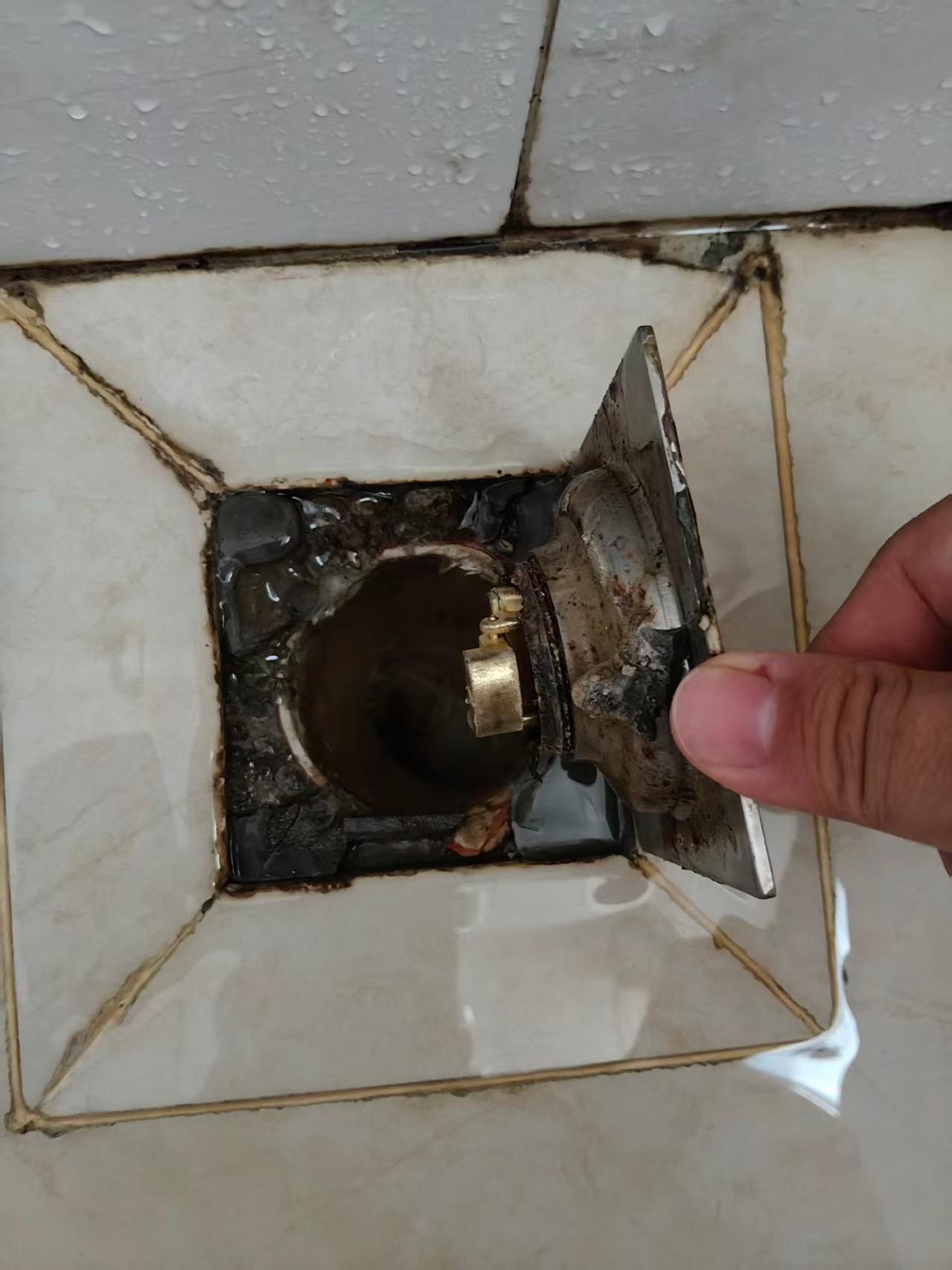 我爸妈家浴室下水不好，我本来想把地漏打开看看，结果一用力，徒手搞成这样了，我爸妈