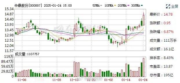 中鼎股份：不仅仅是汽配 该资产重估了市场传统印象之中，中鼎股份只是一家新能源汽车