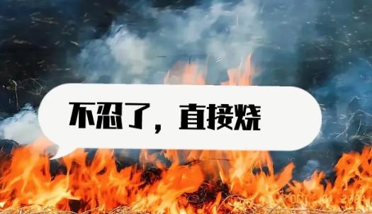 有农民不忍了，就地焚烧秸秆！一段视频在网上火了，视频里一位农民大哥毅然决然地焚烧