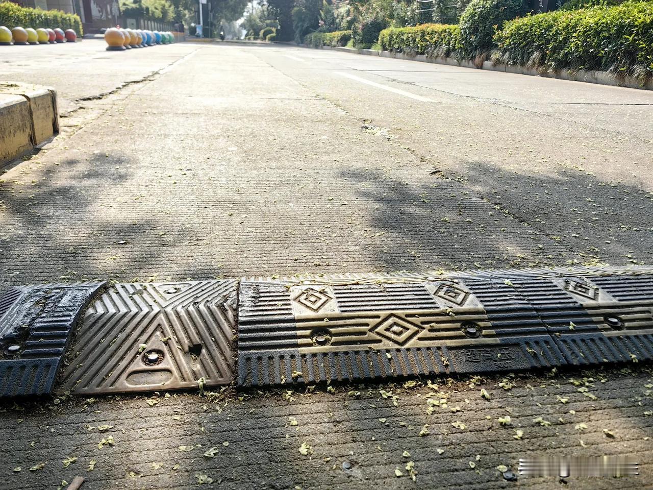 学校门口道路上的减速带设立意义真不大，还影响过往群众出行。
首先减速带设立在非机
