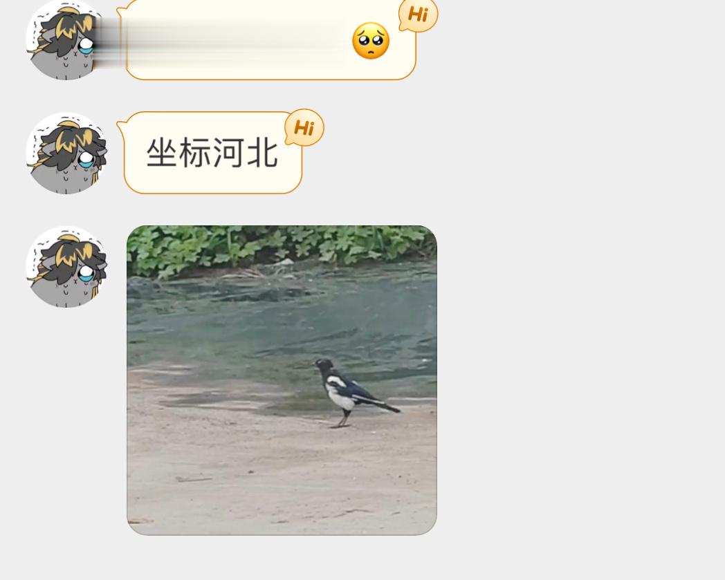 送分题环节～给牛郎织女搭桥的那位！ ​​​