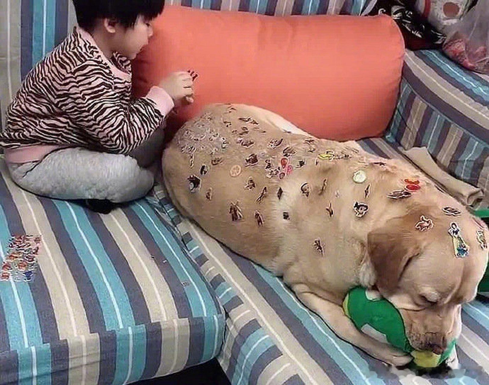 老板要敲打你，老板会直接训你么？一般是先找和你不对付的人先商量好，在开会的时候让