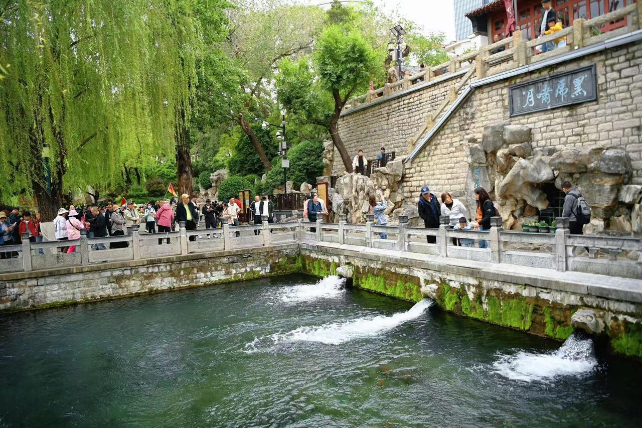 4月21日，济南护城河畔黑虎泉虎啸声声，吸引众多游人驻足观赏“黑虎啸月”胜景。详