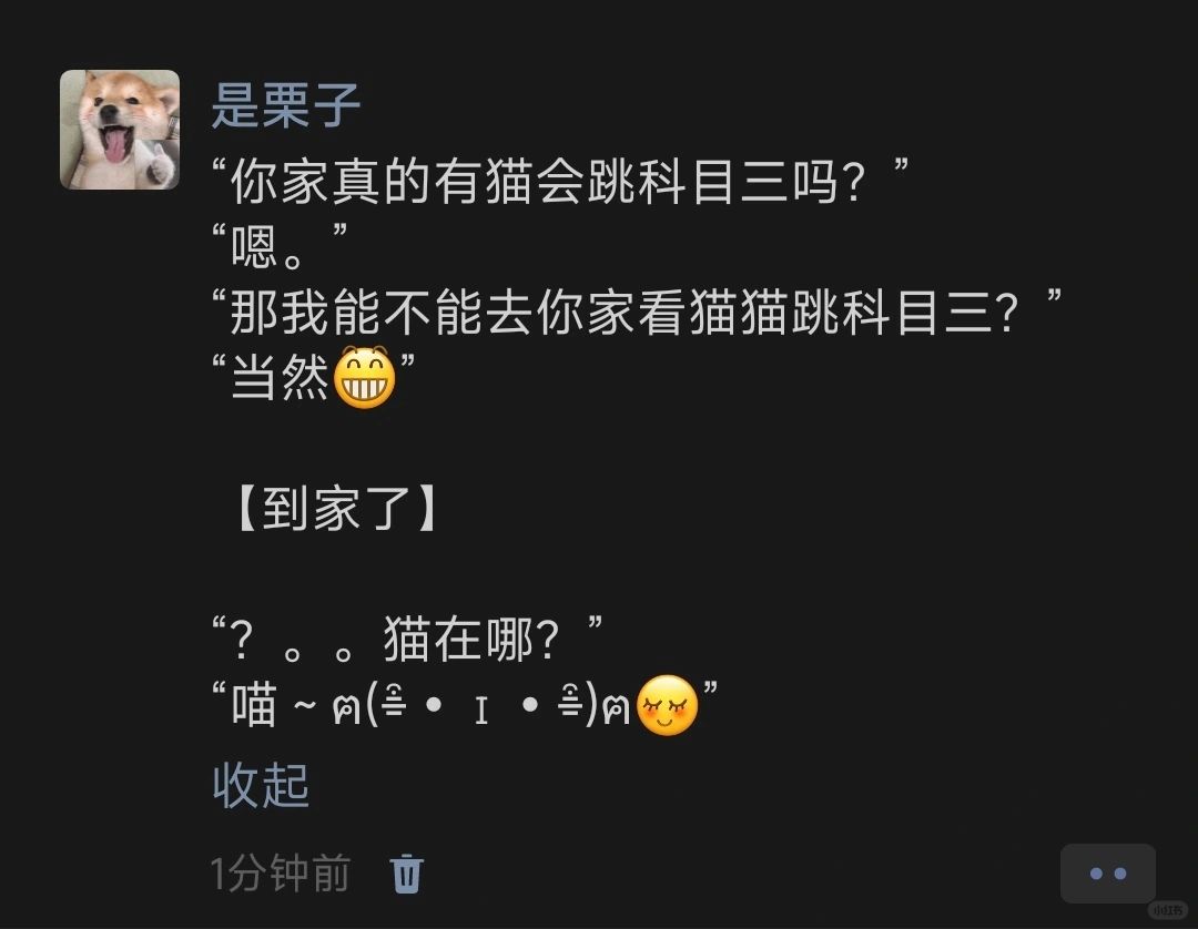 “你家真的有猫会跳科目三吗？”