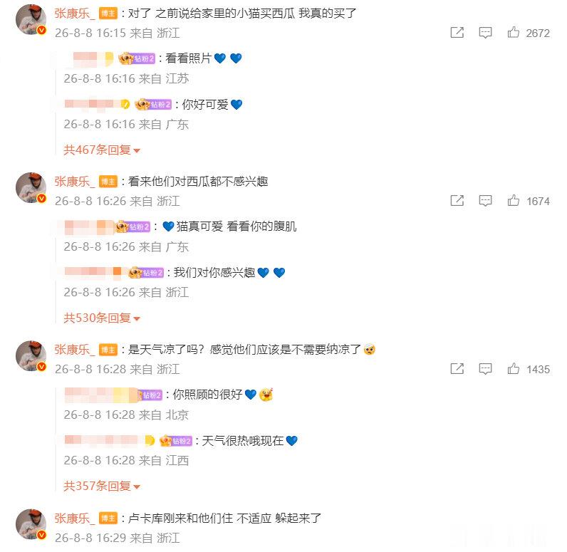 张康乐也有被拒绝的一天  铲屎官的挫败感瞬间拉满，看着猫咪对西瓜毫无兴趣，张康乐
