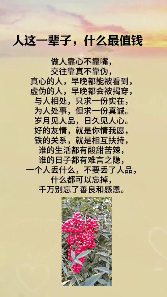 人这一辈子什么最值钱？做人靠心不靠嘴，交往靠真不靠伪。真心的人早晚都能被看到，虚