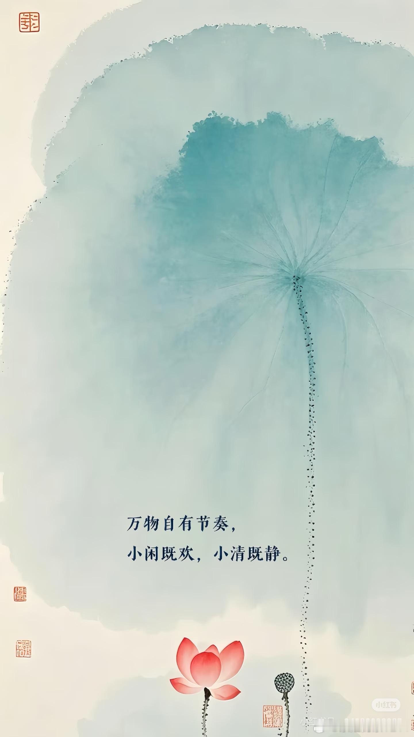 每个人的生活就像一道超纲的试题。不管我们是歇斯底里，还是自欺欺人，失恋、失业、失