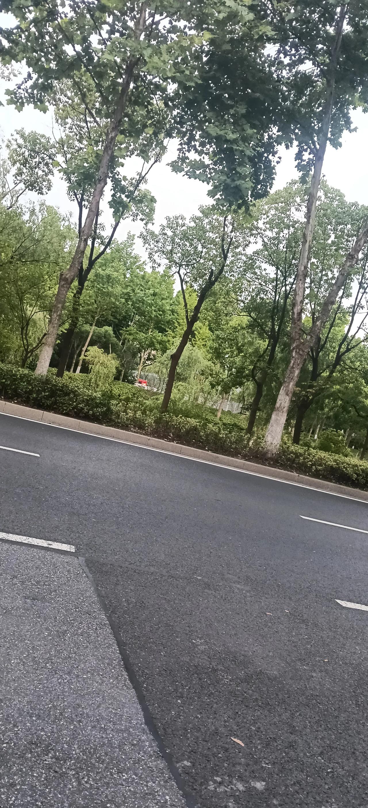 上海的城市特点是什么?
上海兼具繁华摩登与市井烟火，中西建筑交融，商贸发达包容万