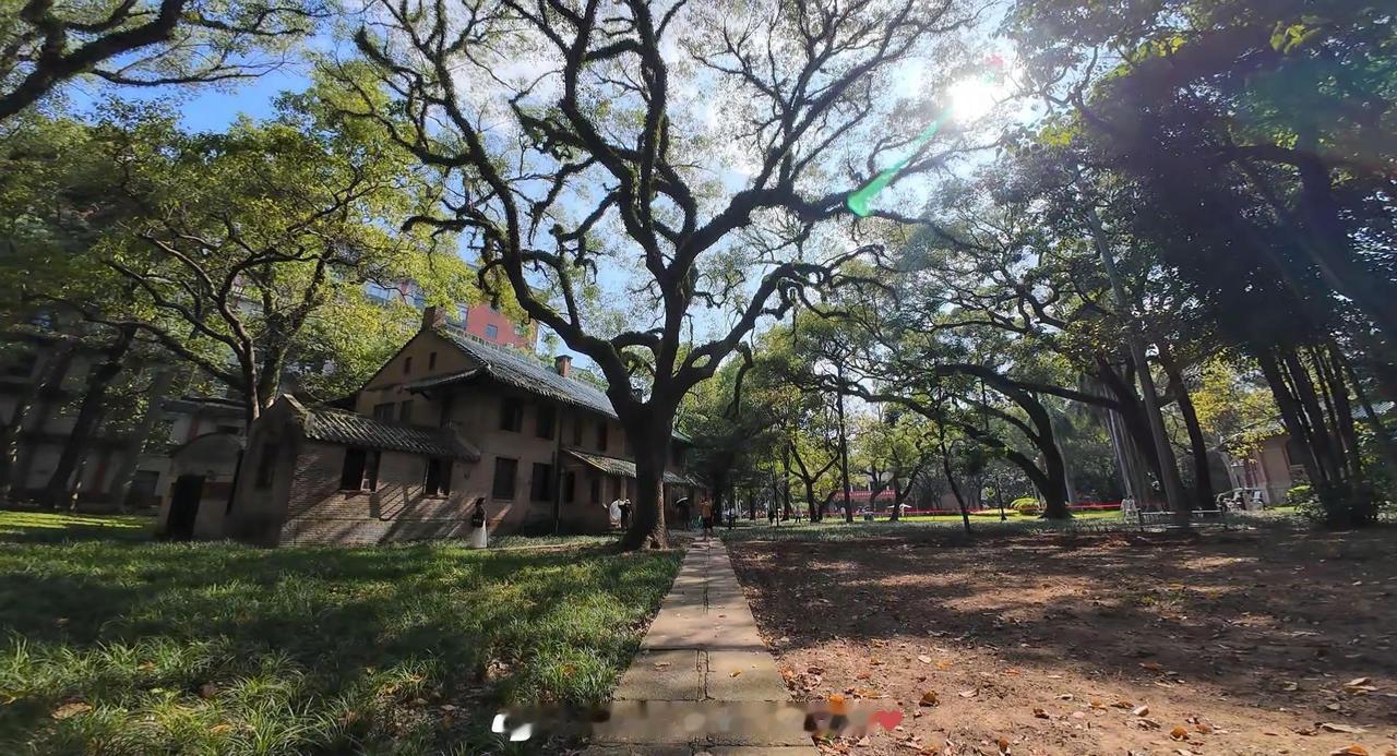 阳光下的中山大学 绿野仙踪 中山大学 广州旅游 中山大学南校区