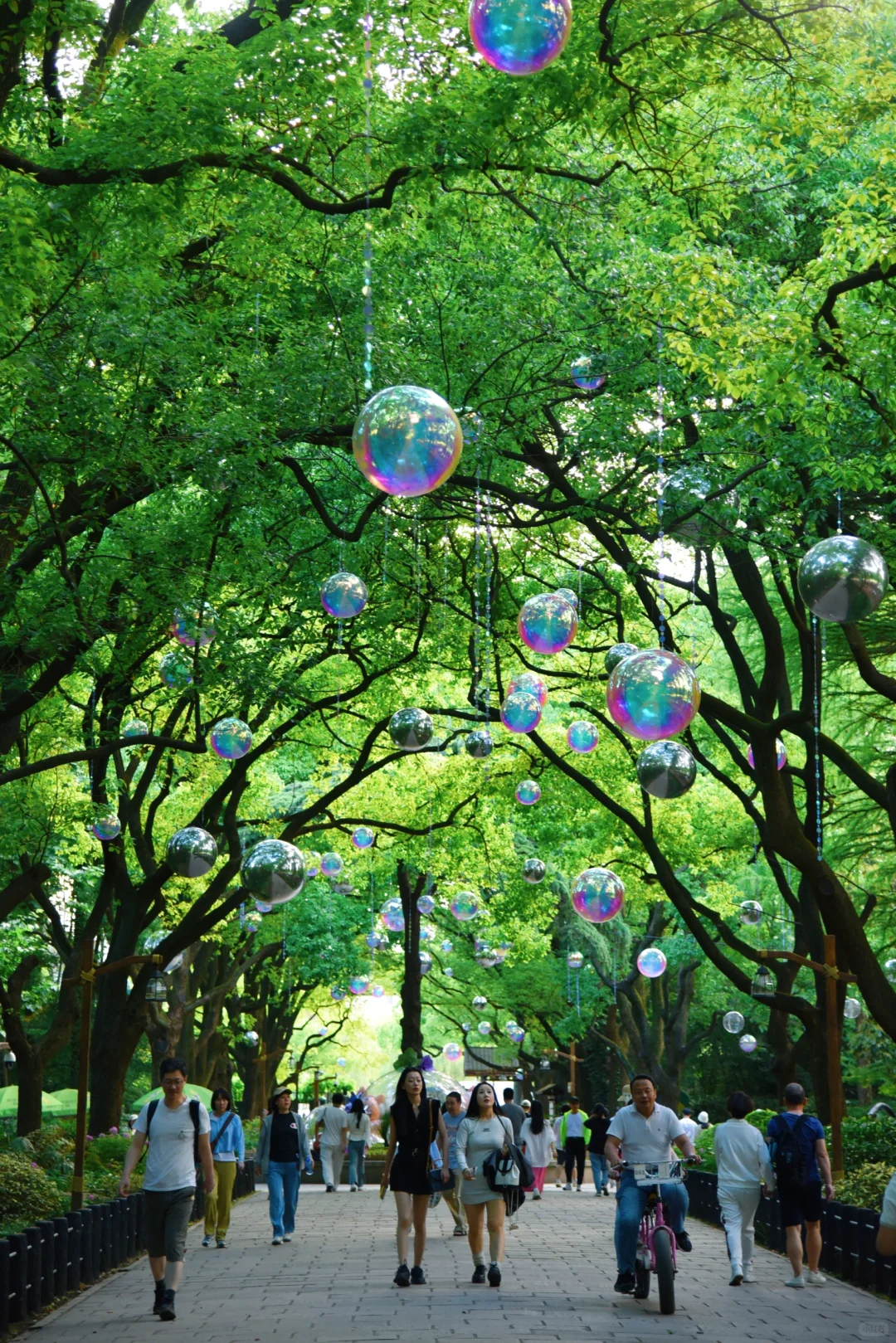 上海的森林公园怎么这样啊……