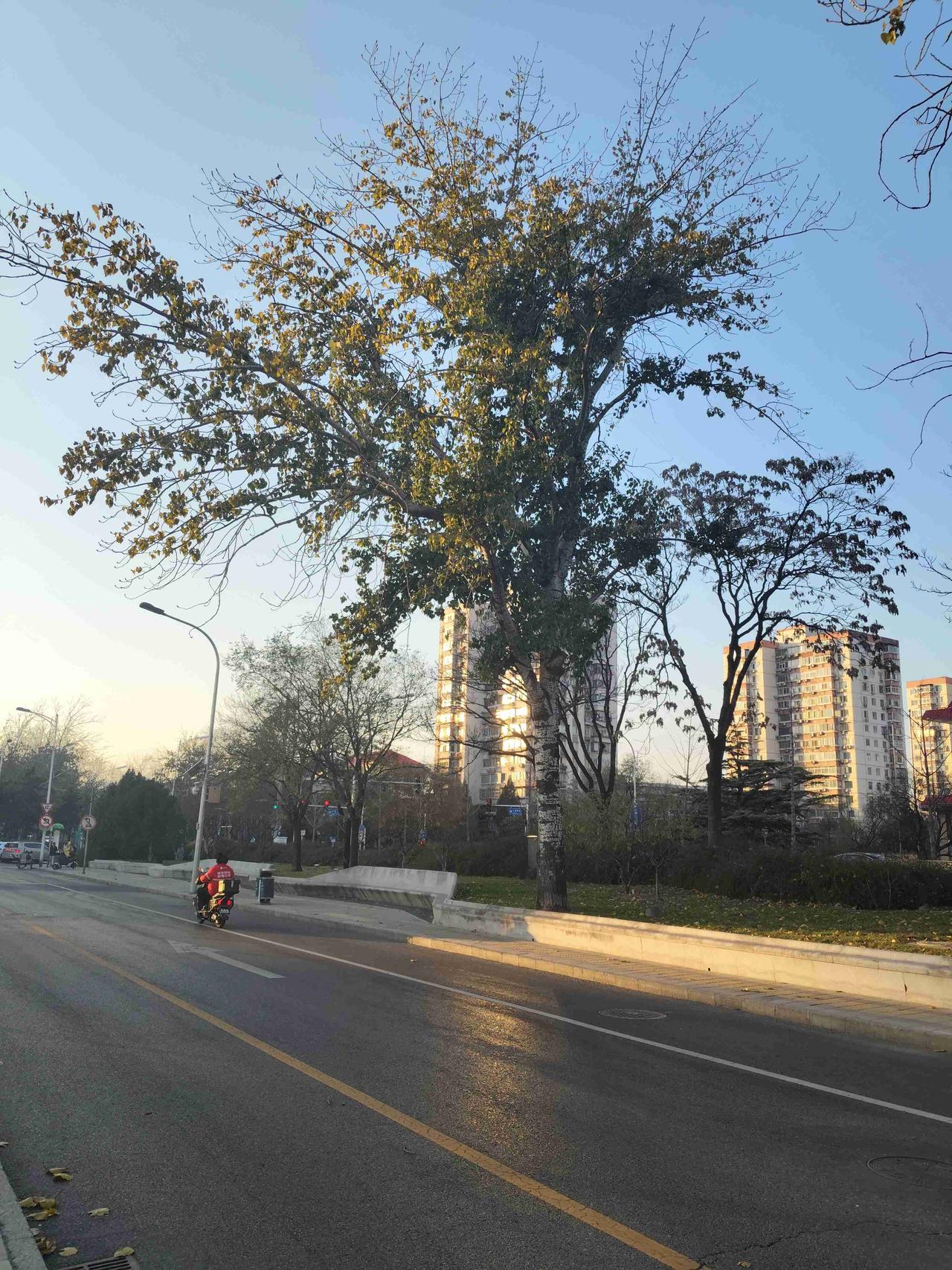 我的今日状态：😁轻松愉快
我这里的天气：☀️晴天