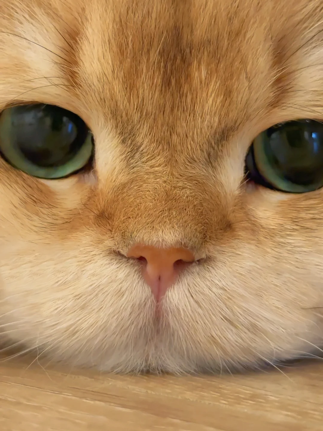 有些照片这辈子是拍不出第二张了🥹