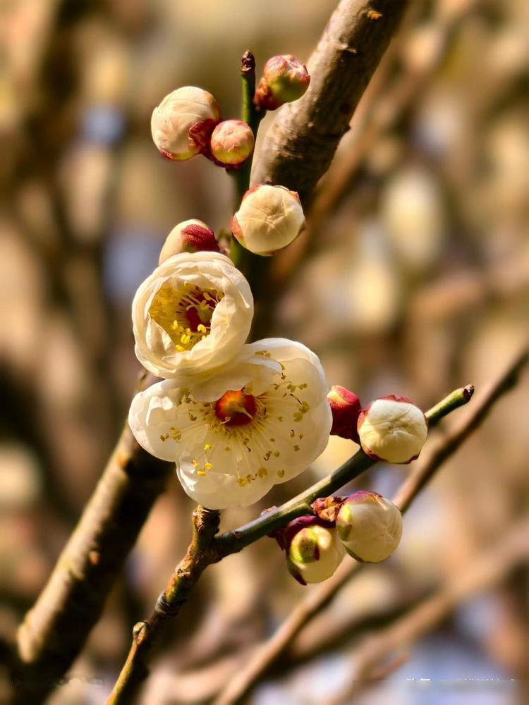 撞见好兄弟的老婆跟熟人从酒店手牵手出来，这破事儿换谁撞上都得短寿十年。

一边是