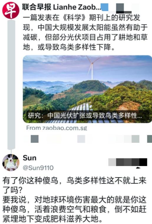 新加坡媒体批评中国新能源，称这会导致鸟类消失，却遭到中方网友神回复！

新加坡《