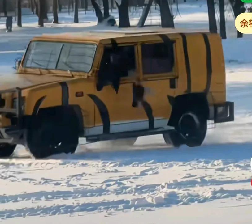 动物园喂老虎的小鸡，只见车里扔下了一只小鸡，两只老虎立马跑过来，
还没等他扑上去