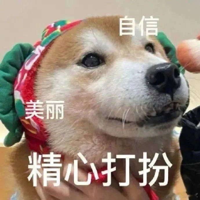 🍉：1. 白敬亭与宋轶感情稳定，未分手。2. 魏大勋与芒果台签约多年，获得不少