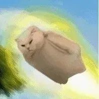 飞了—— 