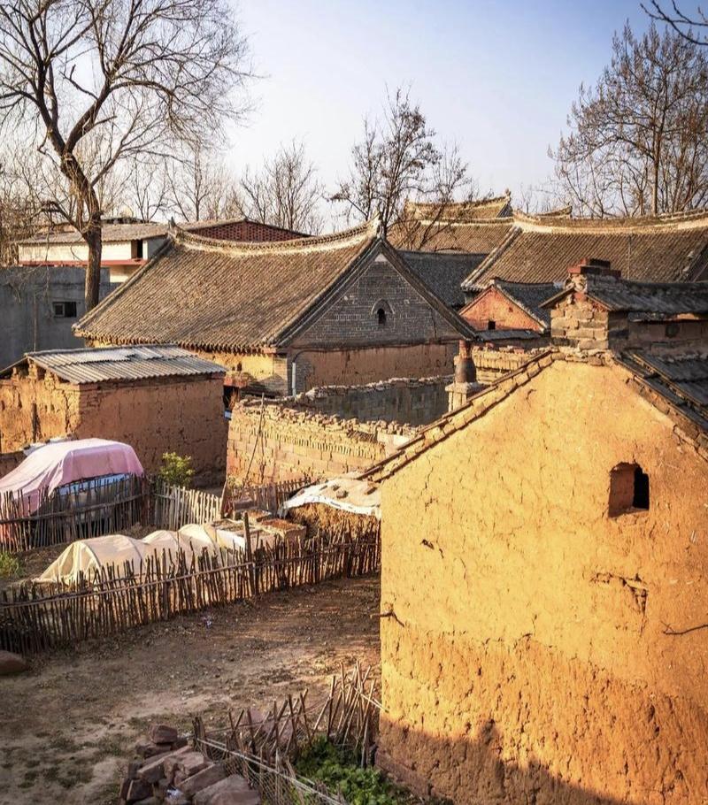 司机遇挡路睡狗
鸣笛无效辗轧挡路睡狗引争议
浙江，司机开车过路遇狗狗躺地下睡觉，