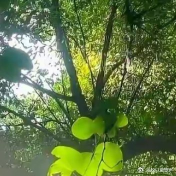 有滴水才有穿石，有小川才有大海，有硅步才有千里。不付出汗水，就没有成功的泪水。流
