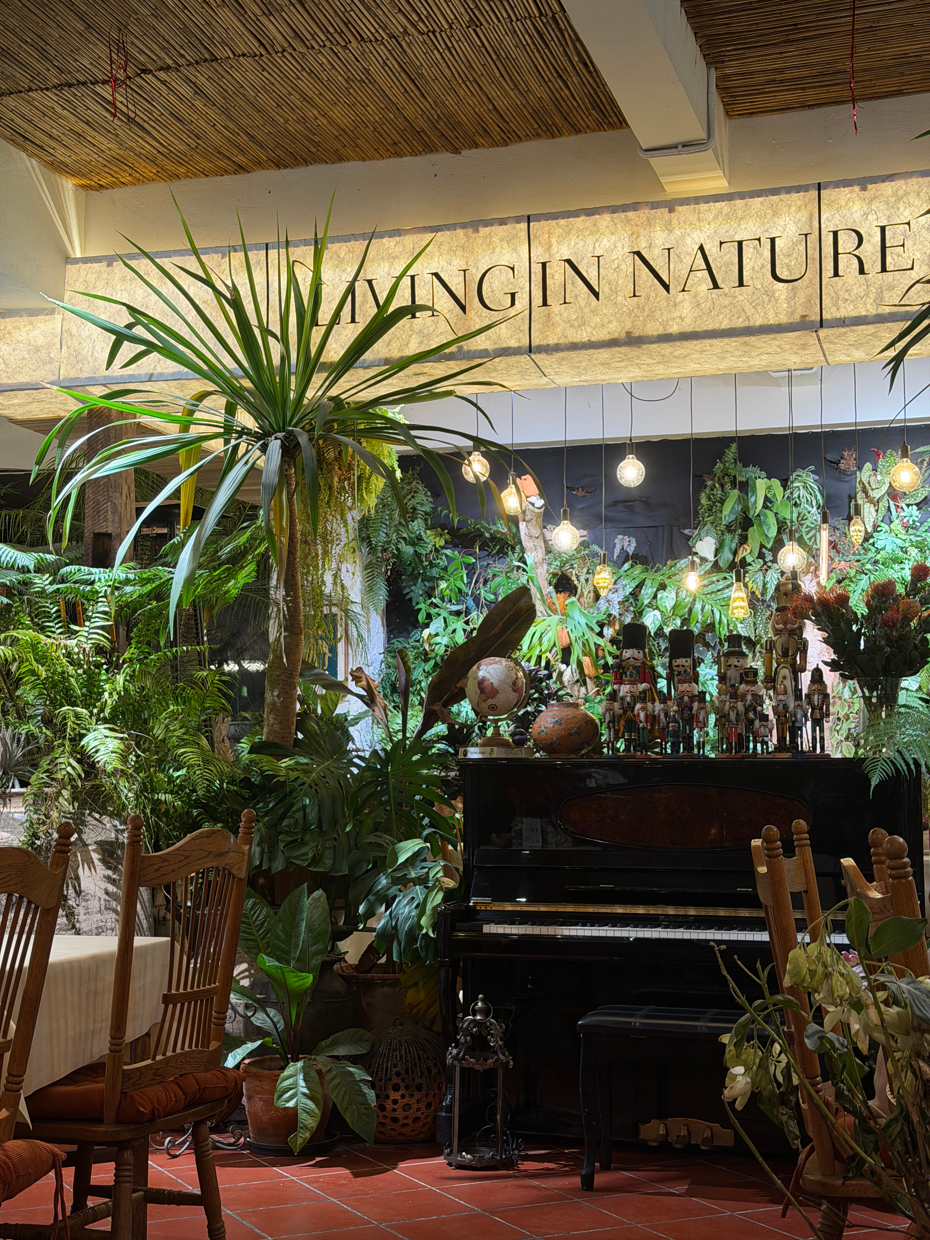 带爸妈来吃漂亮饭 提前过圣诞🎄我爸不爱吃说没有家门口的猪脚饭香 