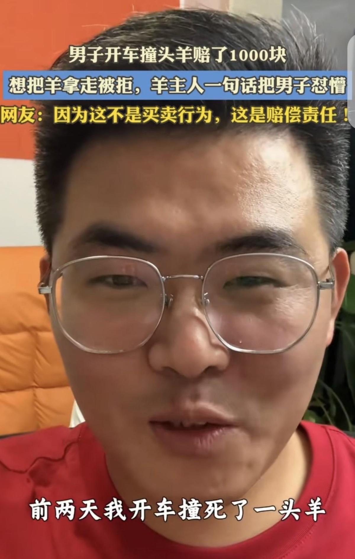 "破防了！"司机在城郊撞死领头羊，赔了老牧民1000元后想顺手把死羊塞进后备箱，