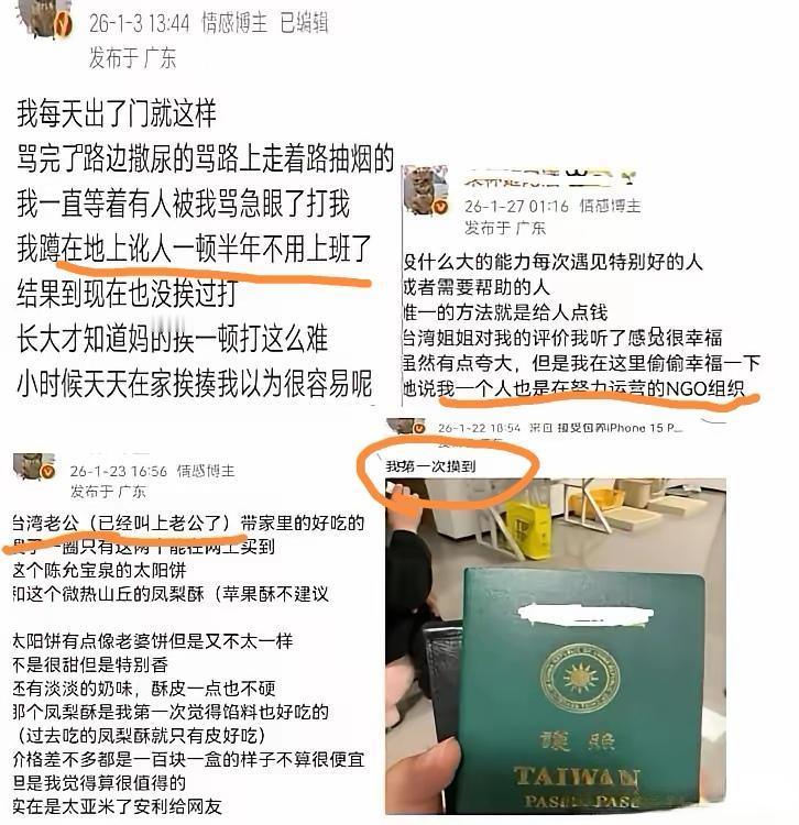 可悲，可叹…

一个与岛上与NGO组织有千丝万缕关系的女人，就能把我们网络媒体搅