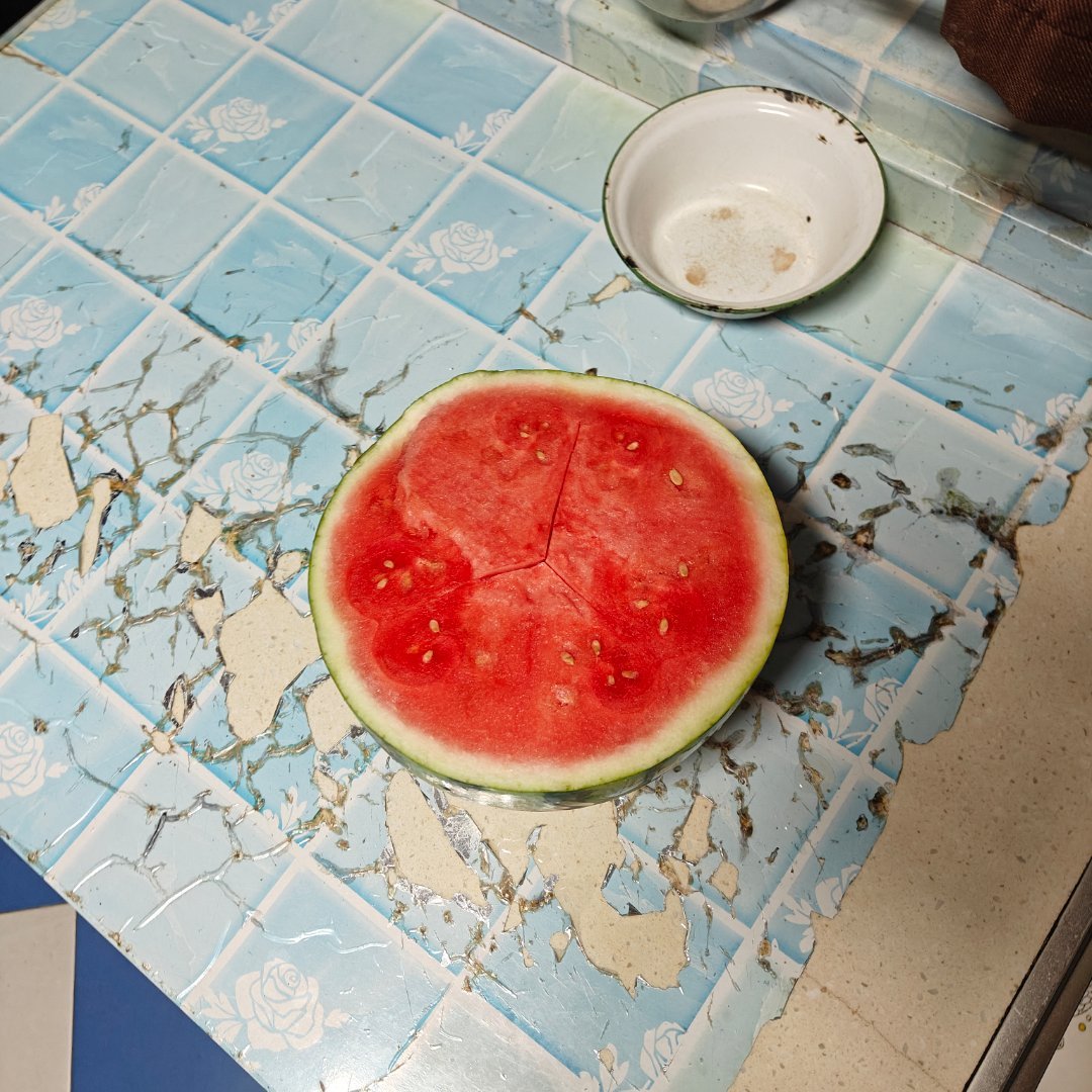家里养的西瓜病了给它做个小手术生了8个孩子现在它们的情绪特稳定[坏笑][坏笑] 