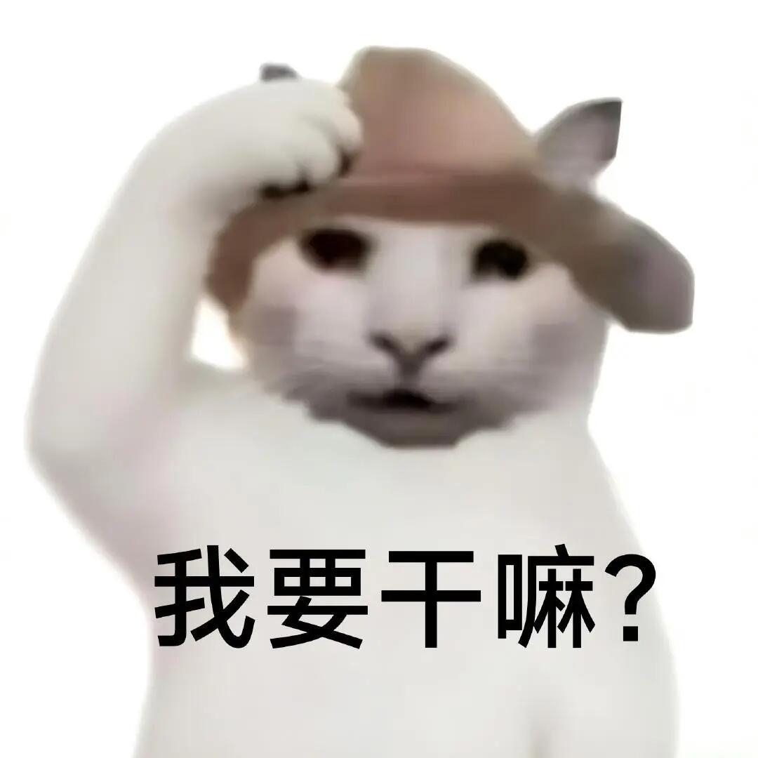 分享一组超实用干嘛猫表情包！ 抽象 | 沙雕～ | 搞笑 