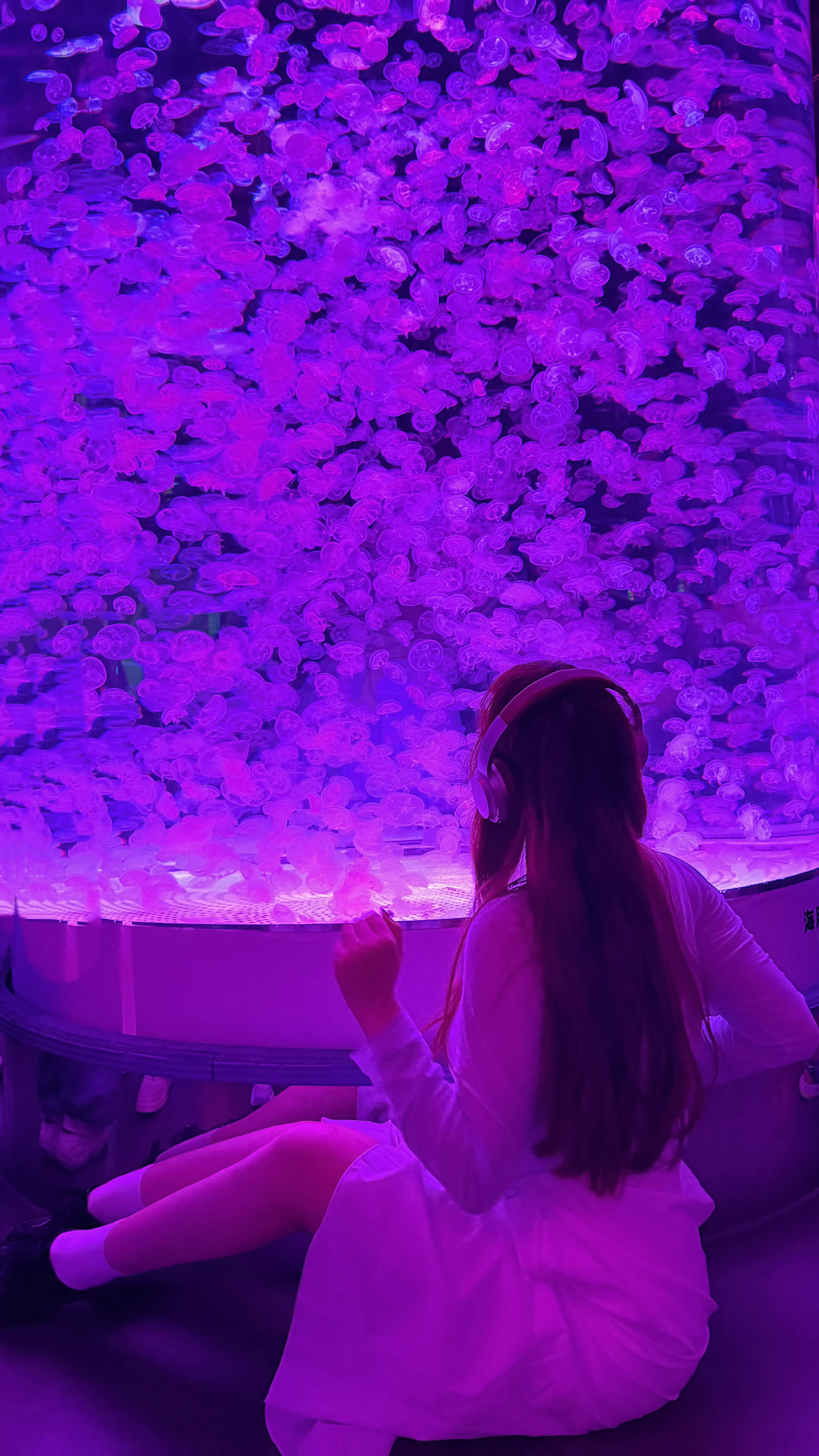 海洋馆这红蓝光谁能P明白？可以来救救我 