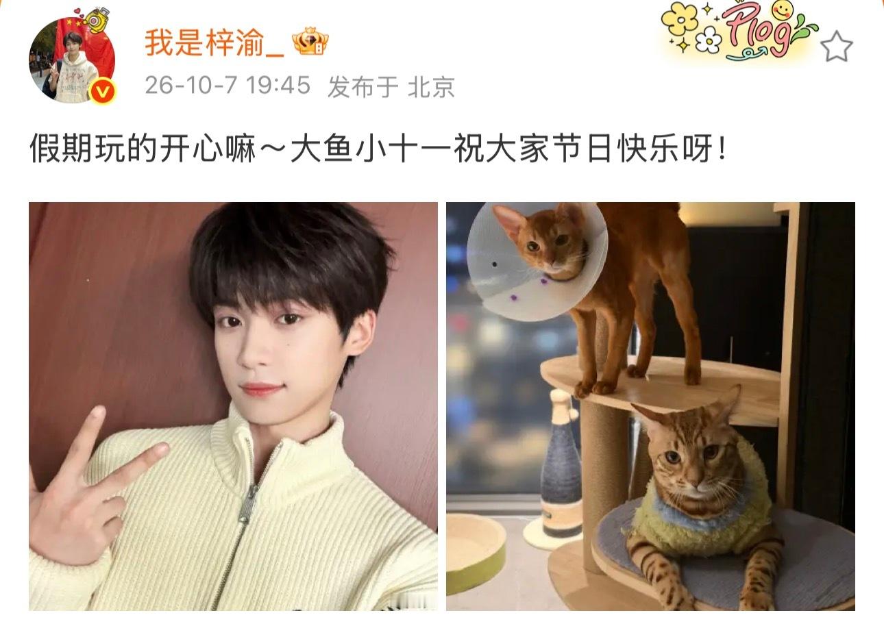 要被梓渝的保暖意识笑晕了长辈眼中的乖乖男[皱眉]梓渝的保暖意识梓渝长辈眼中的乖乖