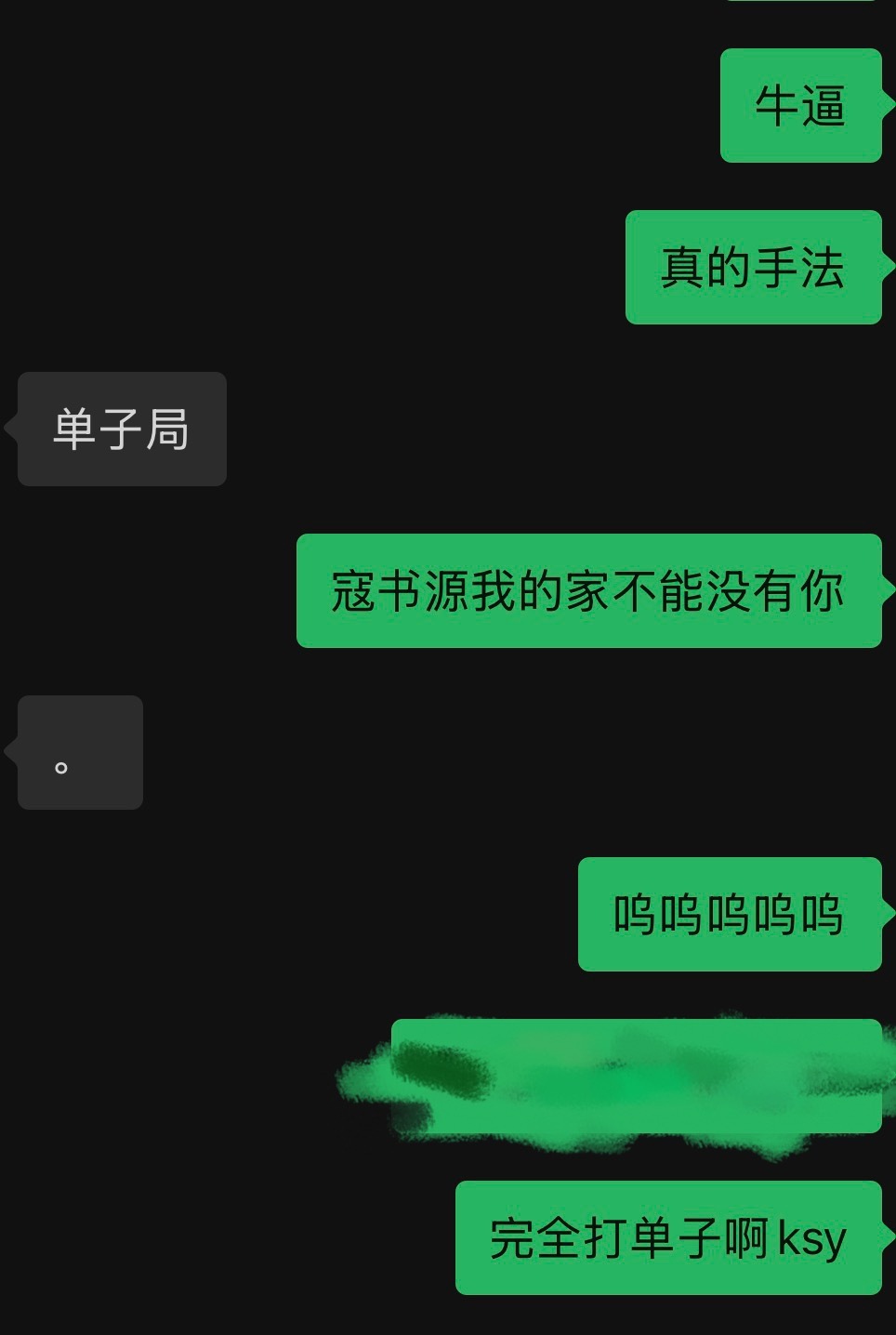 这个家不能没有ksy 