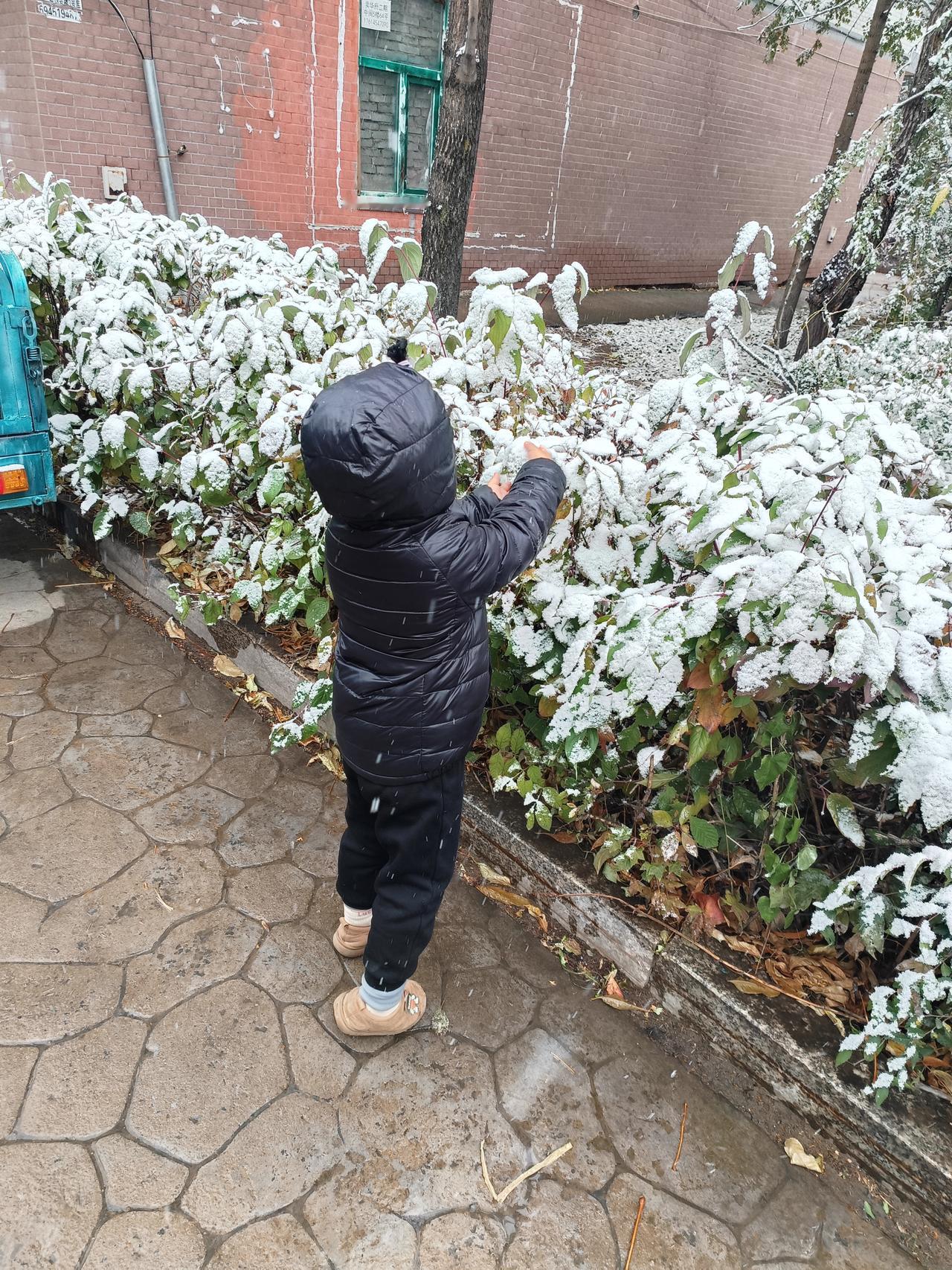 你那里下雪了吗，又冬天下雪样子 下雪时拍照巨美