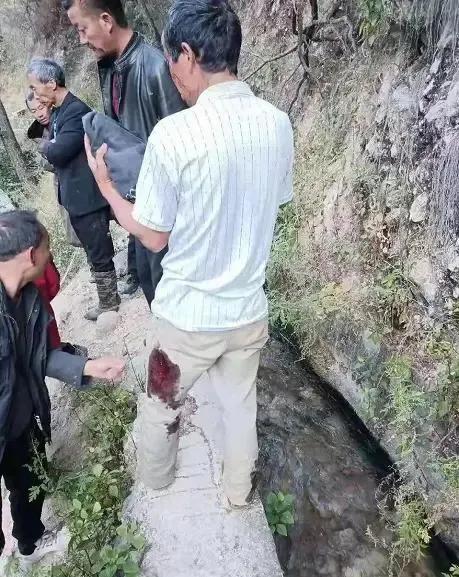四川绵阳黑熊伤人事件：村民英勇反击，成功救下家人

近日，在四川省绵阳市北川县曲