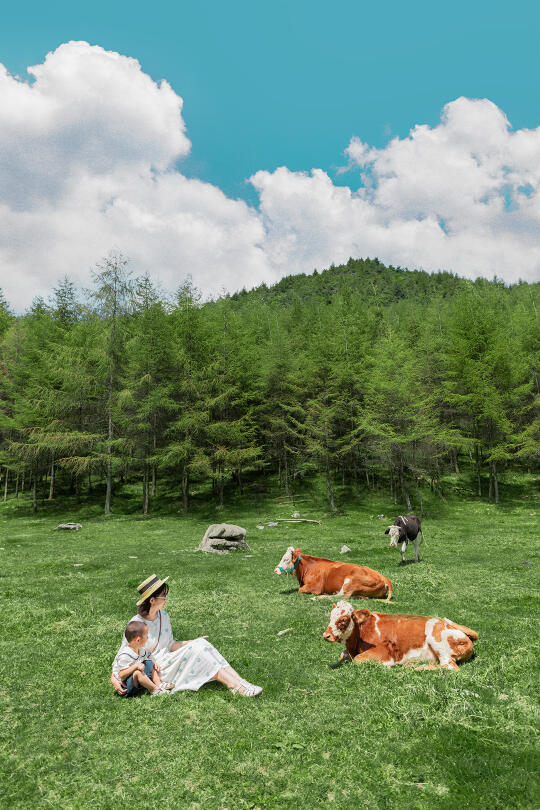 这不是新疆❗️是恩施‼️26度夏日免费草原秘境