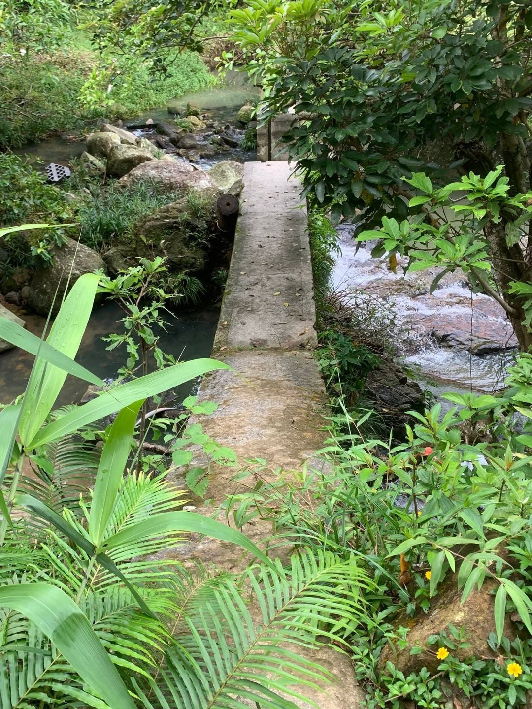 阳光信用人生最好的状态，懂取舍知进退。拿得起是本事，放得下是格局，用心走好每一段