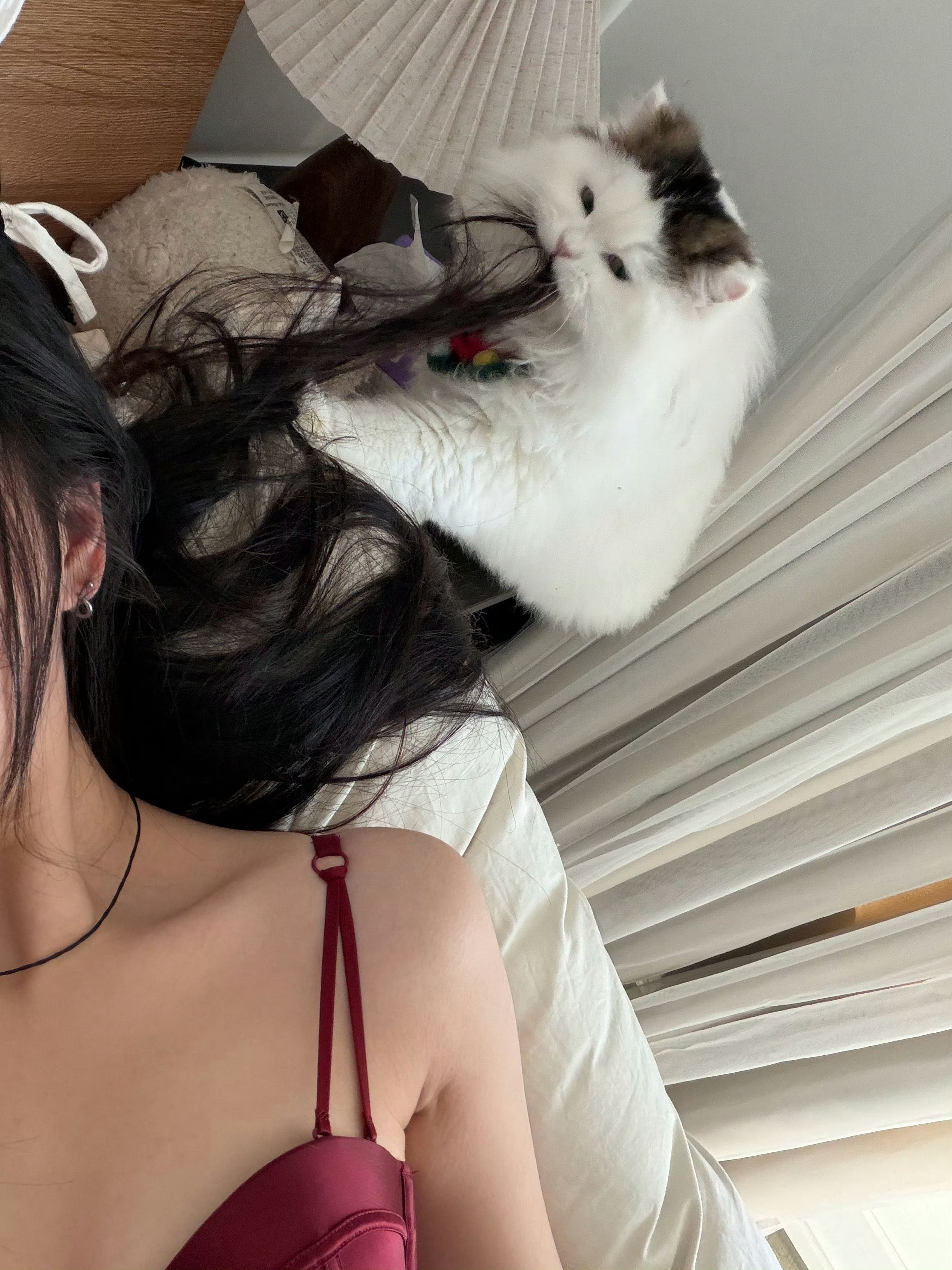 生活碎片氛围感拉得满满 