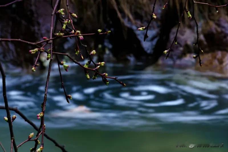上联：冬去千山秀，诚邀下联春来万水灵！