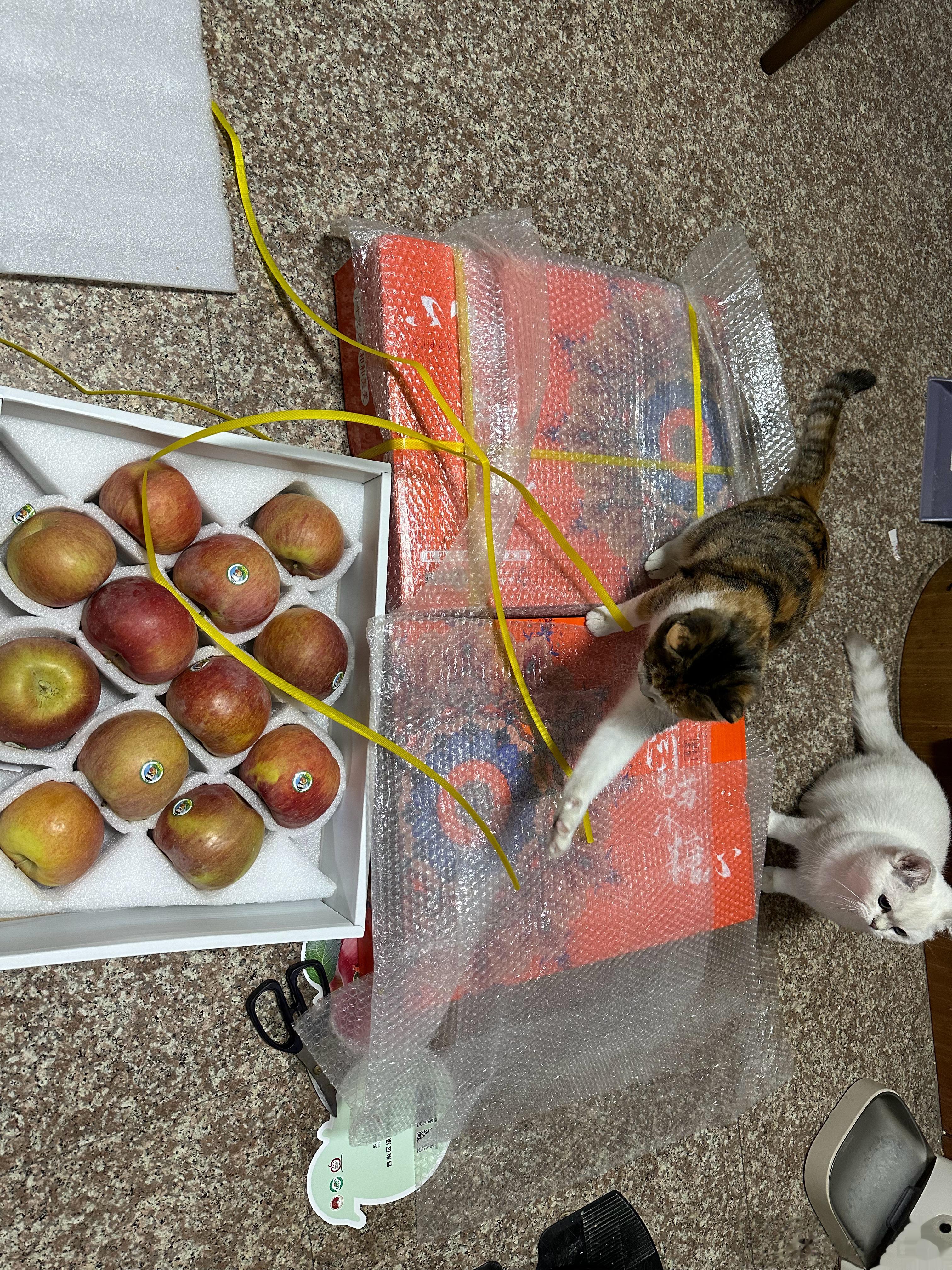 今天又收到了新疆朋友寄来的阿克苏冰糖心苹果。一部分已经被我送人了。自从援疆结束以