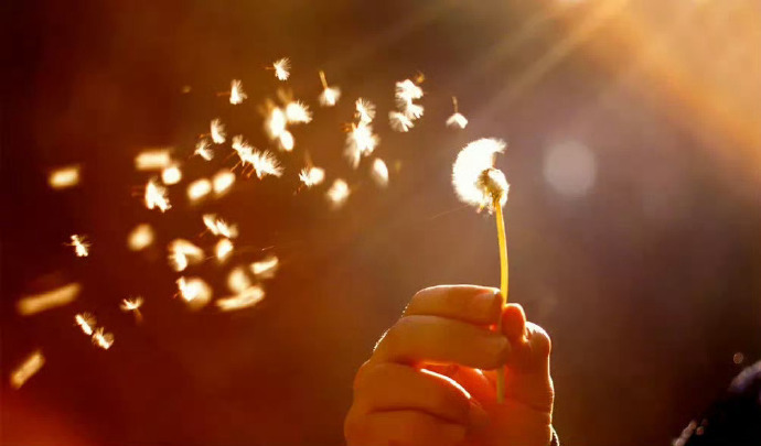 我一向认为两个人相处的最高职责是：保护对方的孤独里尔克 