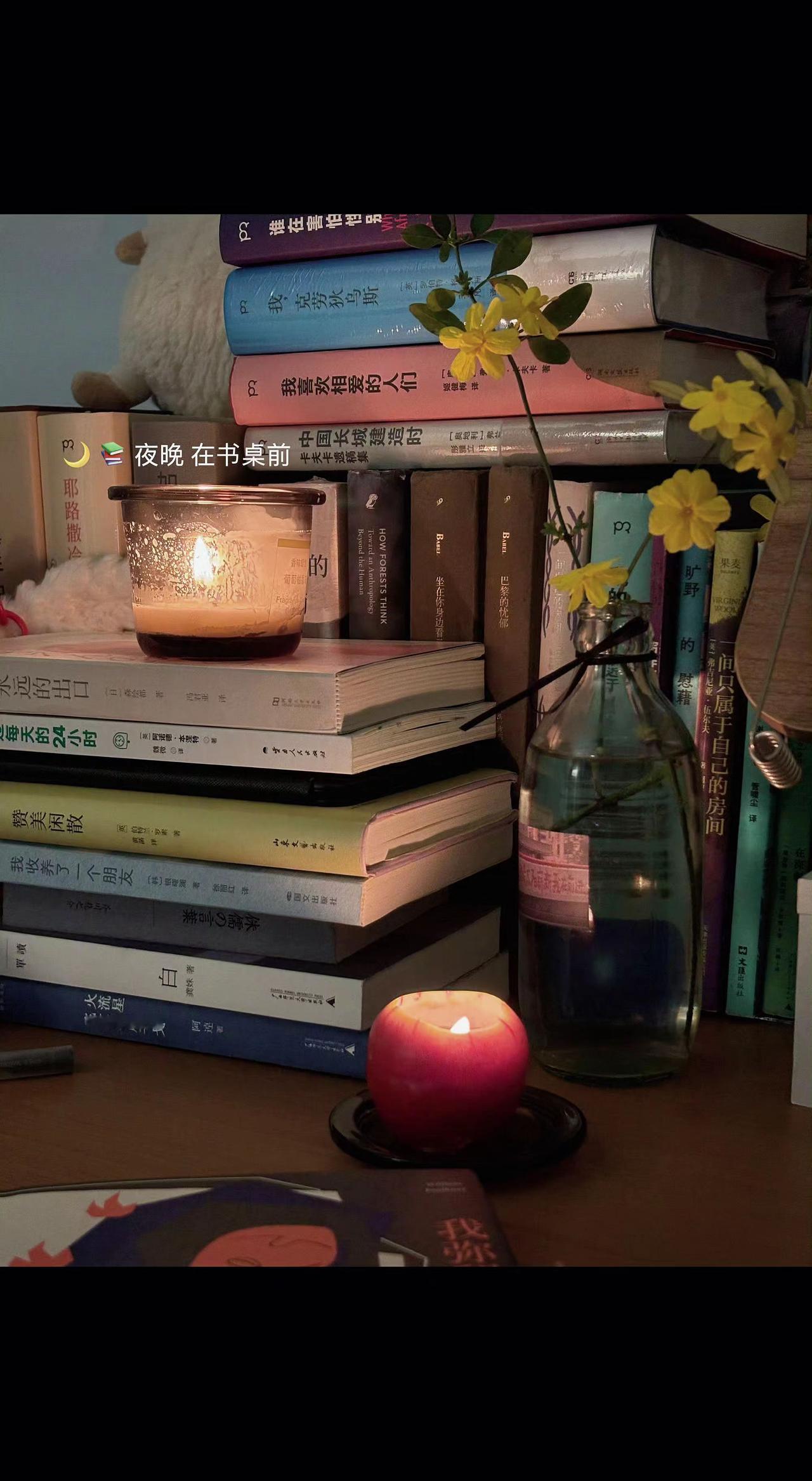 🕯️书堆成深夜孤岛，烛火是唯一的航标✨。每本书都在呼吸，等你翻开月光的序章📖