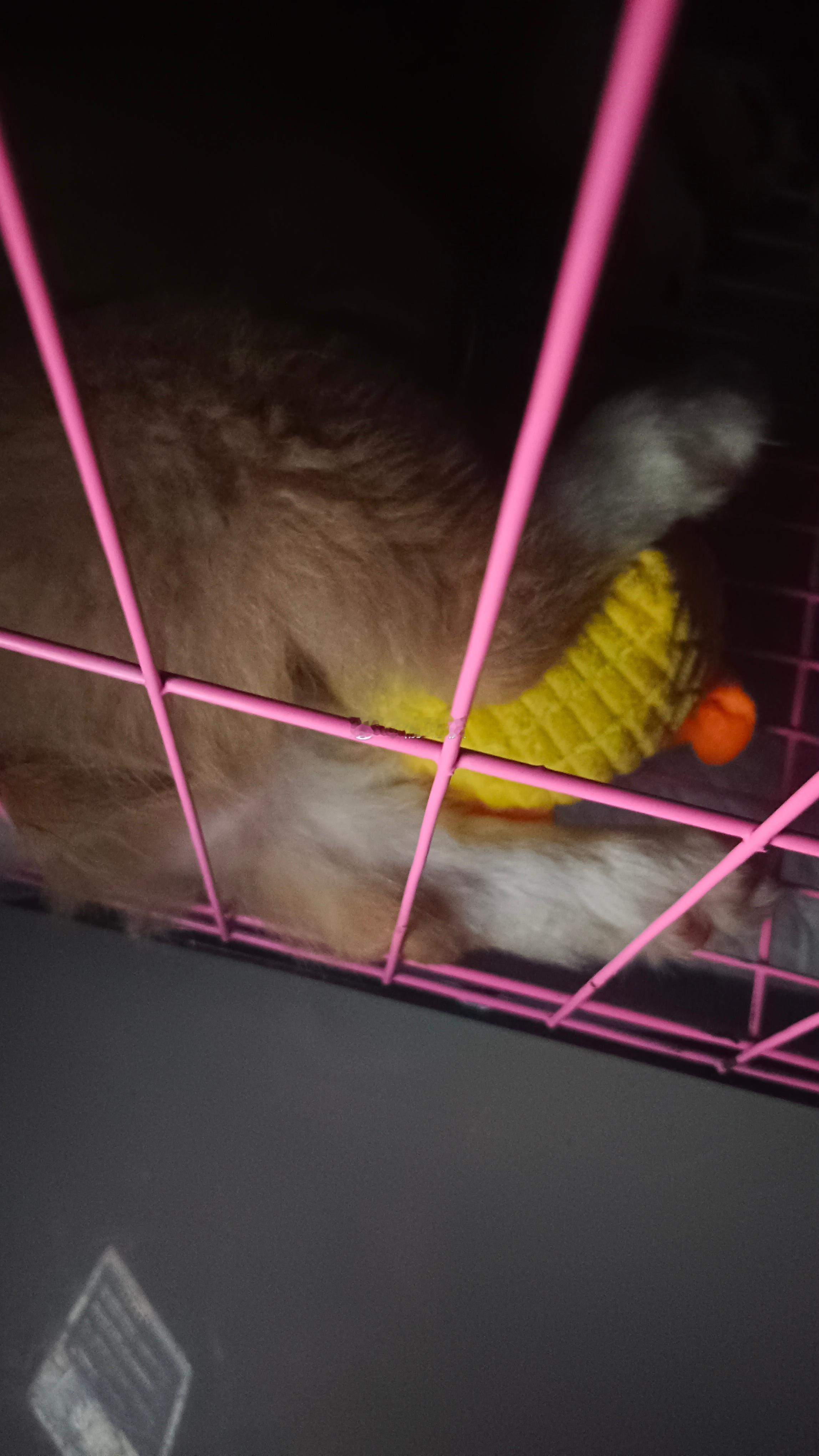 谁敢闻 