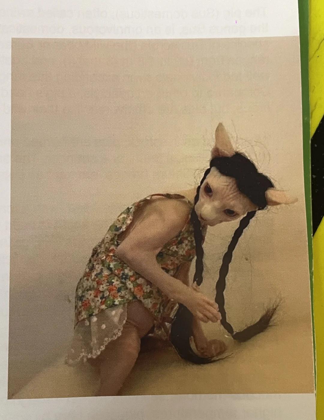 拥有苹果的时候只想着苹果