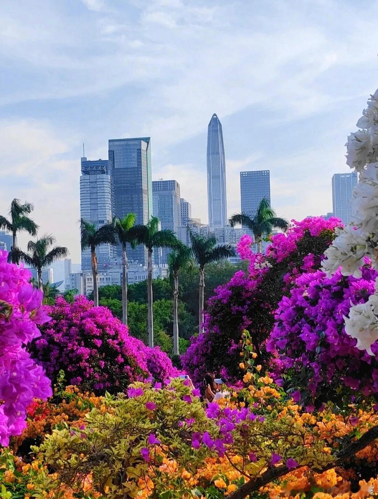 新人作者没有名气，但是写书的主题就是关键词专业知识类的关键词，就是读者搜索到你的